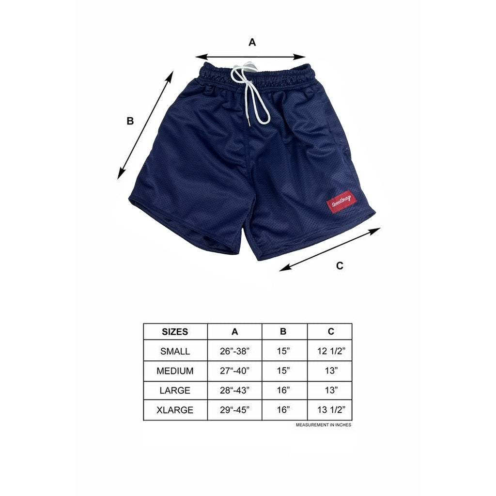 BASIC MESH SHORTS (BLUE)