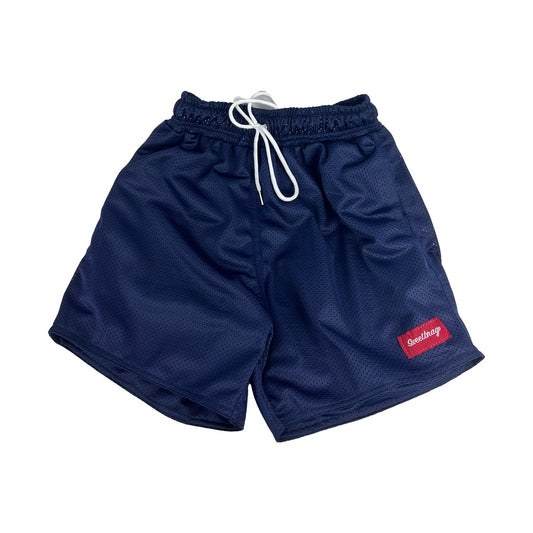 BASIC MESH SHORTS (BLUE)